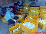 英德市金龍農(nóng)副產(chǎn)品加工廠(chǎng)——廠(chǎng)房相冊(cè)掠影