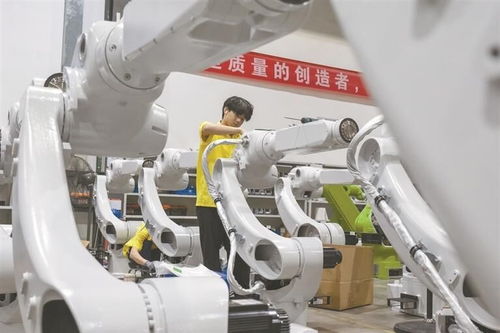 融合產業與科創，推動智能機器人產業集群發展